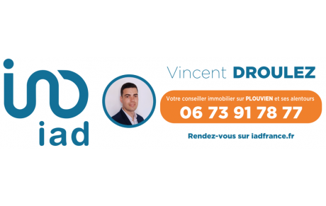 Vincent Droulez - Conseiller immobilier